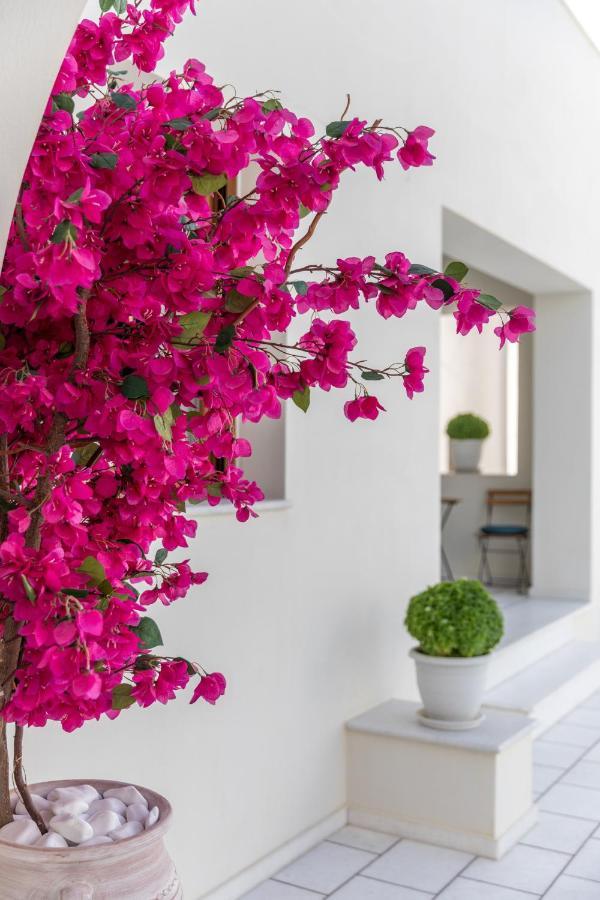 Appartement 100 Steps - Harmony à Naxos City Extérieur photo